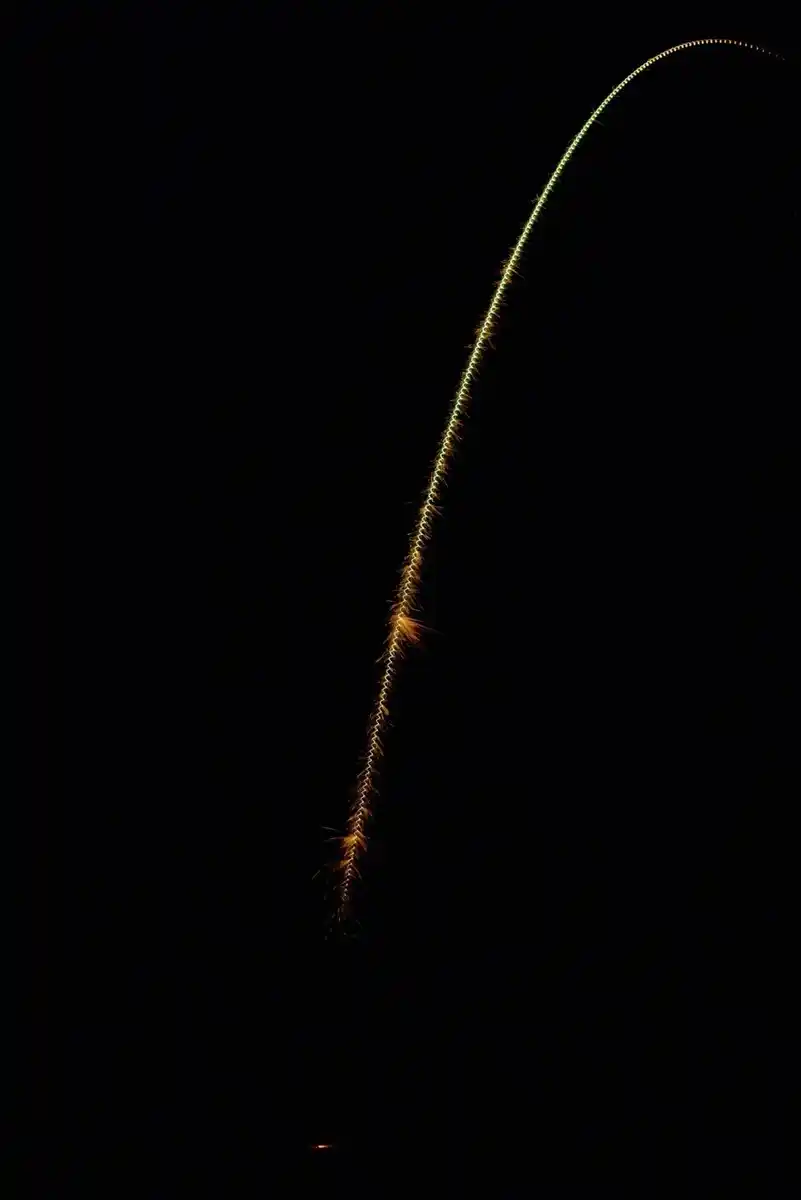 Bild 2 von WECO Sonnenvogel, 4-St.-Packg.