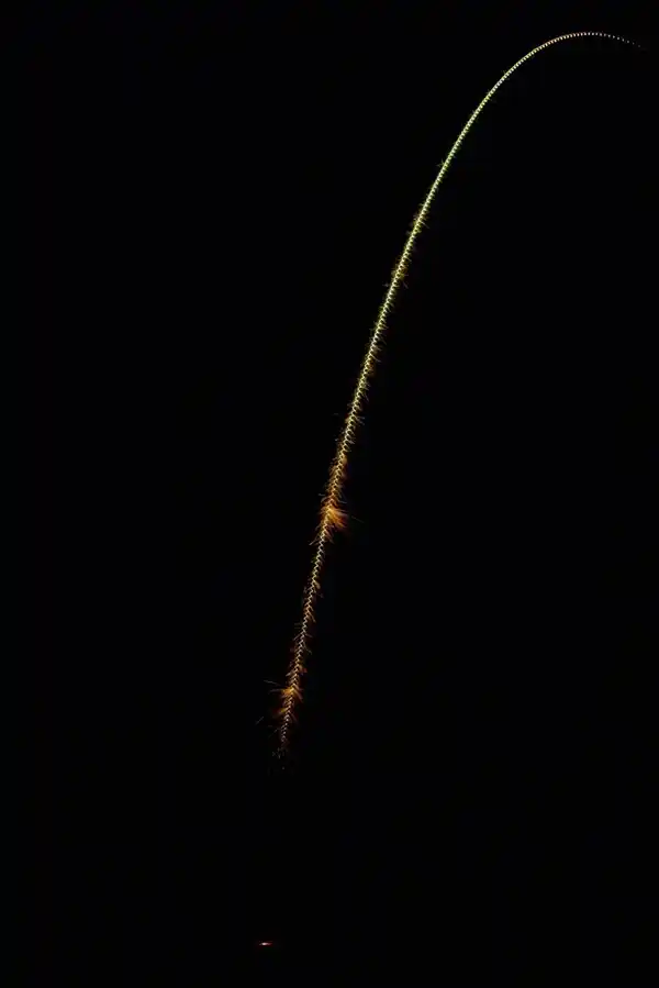 Bild 2 von WECO Sonnenvogel, 4-St.-Packg.