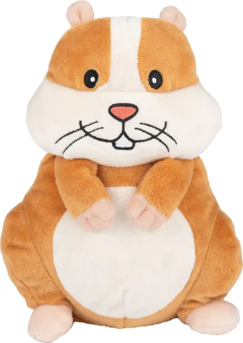 Bild 2 von KIDLAND® Hamster