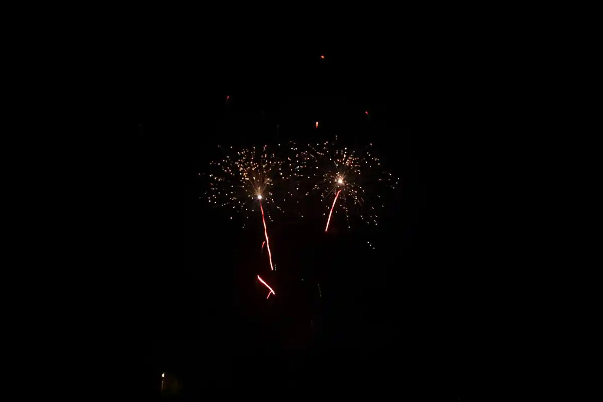 Bild 2 von COMET XXL-Multi-Fächer-Batterie »Bigfoot«