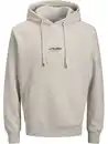 Bild 1 von Jack & Jones JJESOHO SWEAT Hoodie Braun