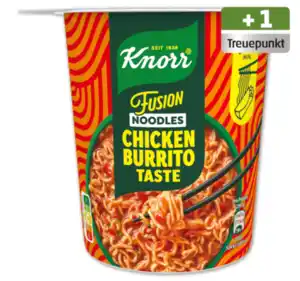 KNORR Fusion Noodles*