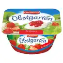 Bild 1 von EHRMANN Obstgarten 125 g, Erdbeere