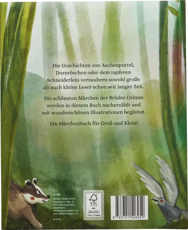 Bild 2 von IDEENWELT Vorlesebuch Die schönsten Märchen der Brüder Grimm