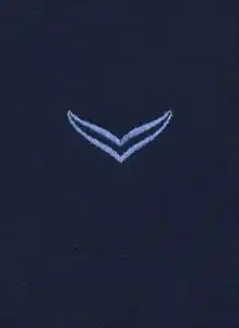 Trigema T-Shirt TRIGEMA V-Shirt aus 100% Bio-Baumwolle (kbA)