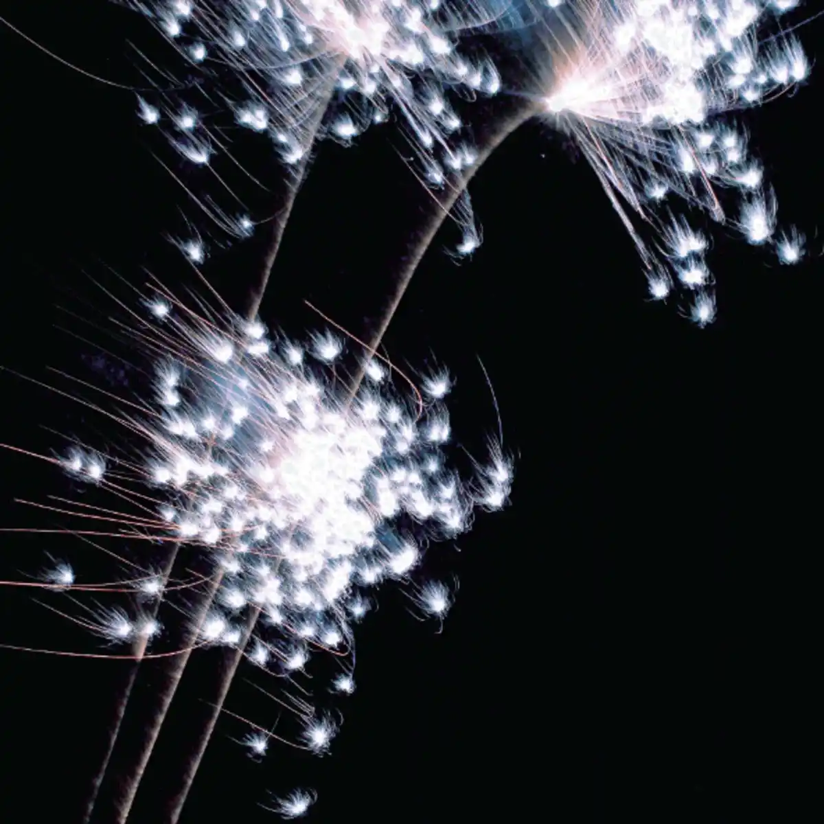 Bild 2 von WECO Rainbow Fantasy