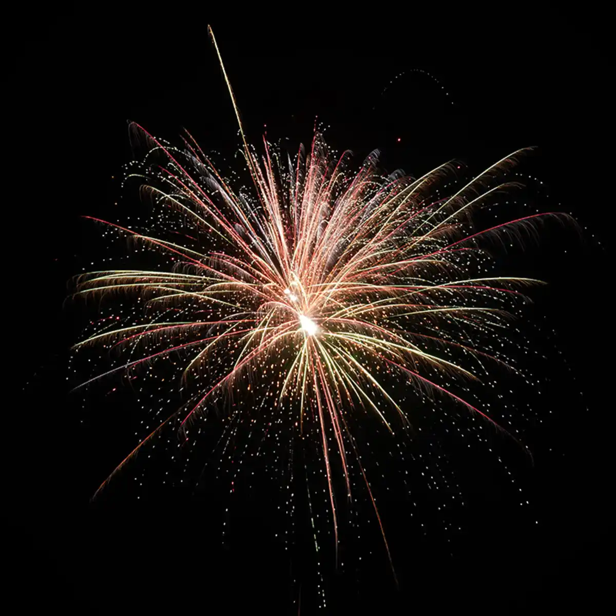 Bild 3 von Nico Feuerwerk/Powertec Skyquake