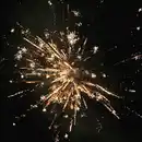 Bild 2 von Silvesterzauber Big Monster