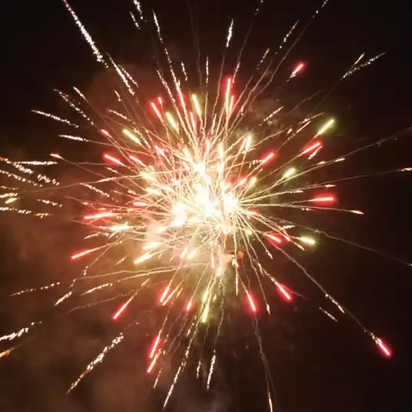 Bild 4 von Silvesterzauber Futuristic Salvo