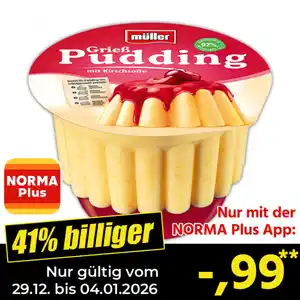 Müller Pudding mit Soße