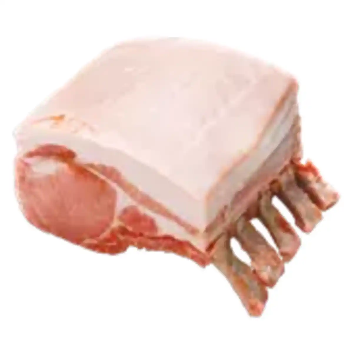 Bild 1 von Die Rostocker Spanferkel Karreebraten