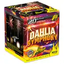 Bild 1 von Nico Feuerwerk/Powertec Dahlia Symphony