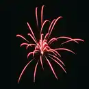 Bild 4 von WECO Lichterfest