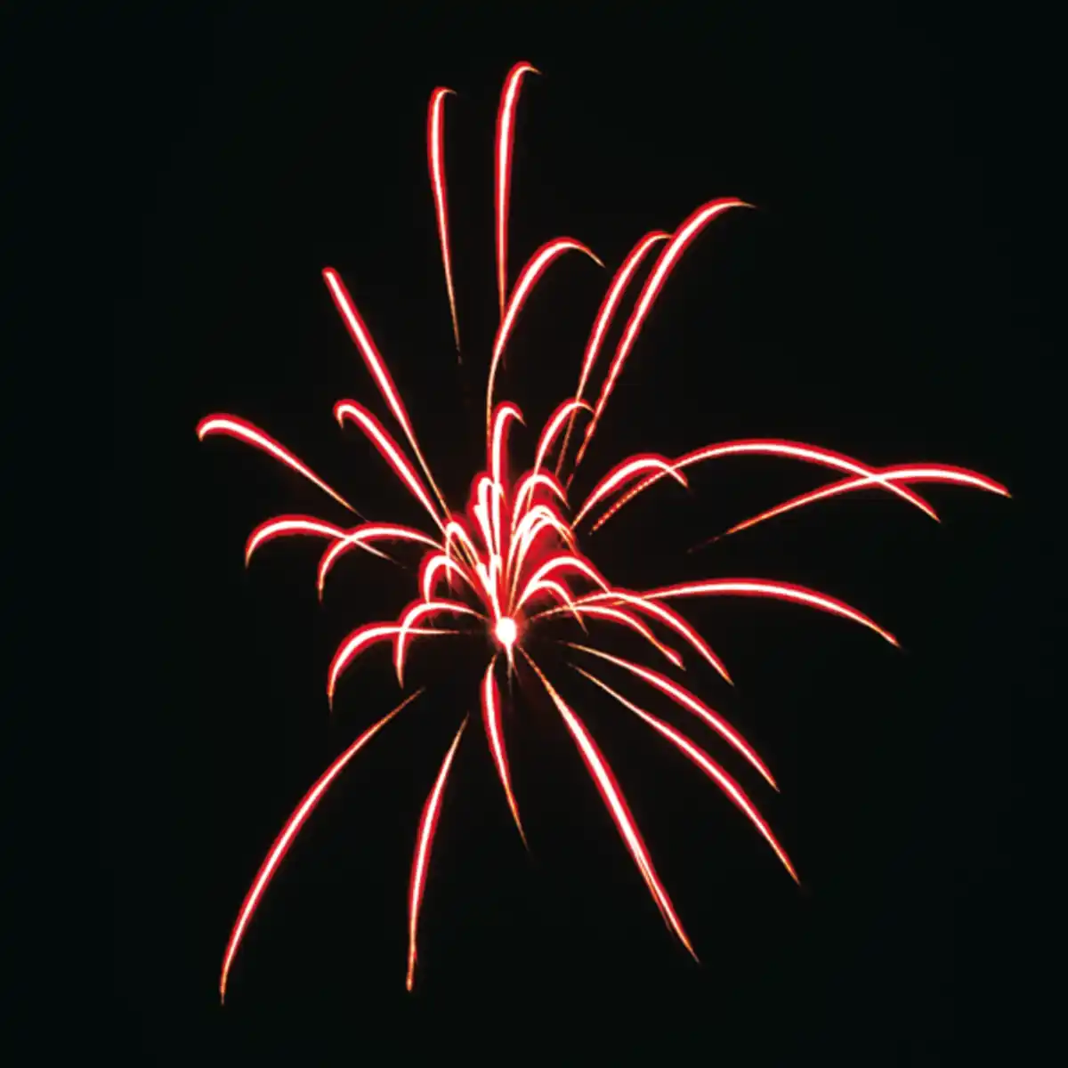 Bild 4 von WECO Lichterfest