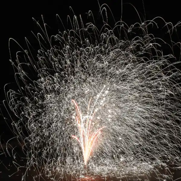 Bild 2 von WECO Hornito