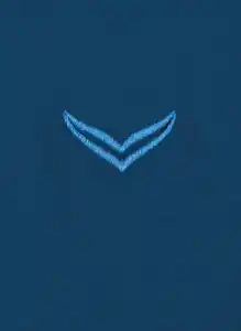 Trigema T-Shirt TRIGEMA V-Shirt aus 100% Bio-Baumwolle (kbA)