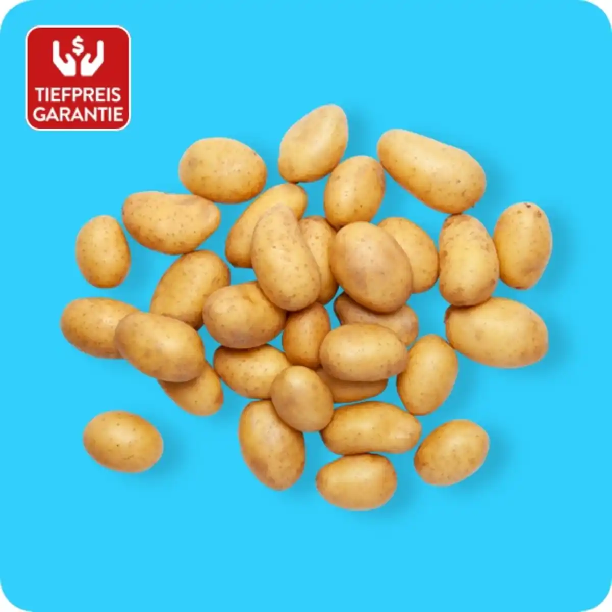 Bild 1 von   Raclette-Kartoffeln, Ursprung: Deutschland / Frankreich