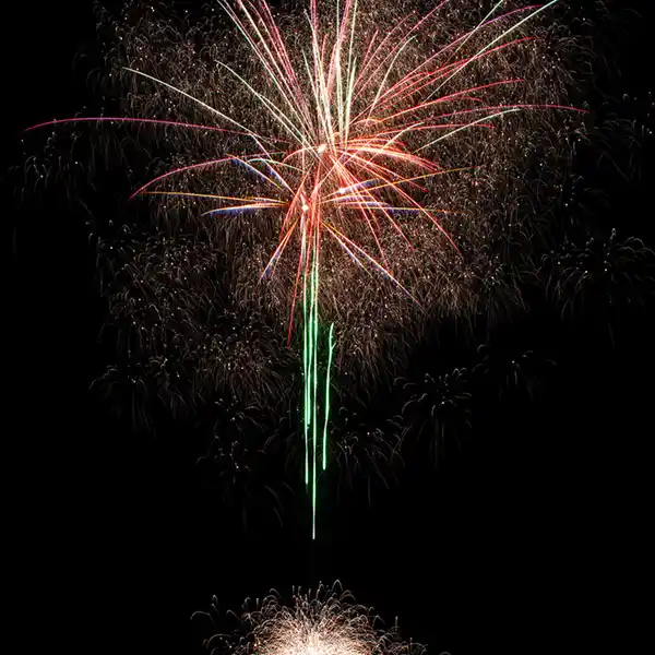 Bild 2 von Nico Feuerwerk/Powertec Dahlia Symphony