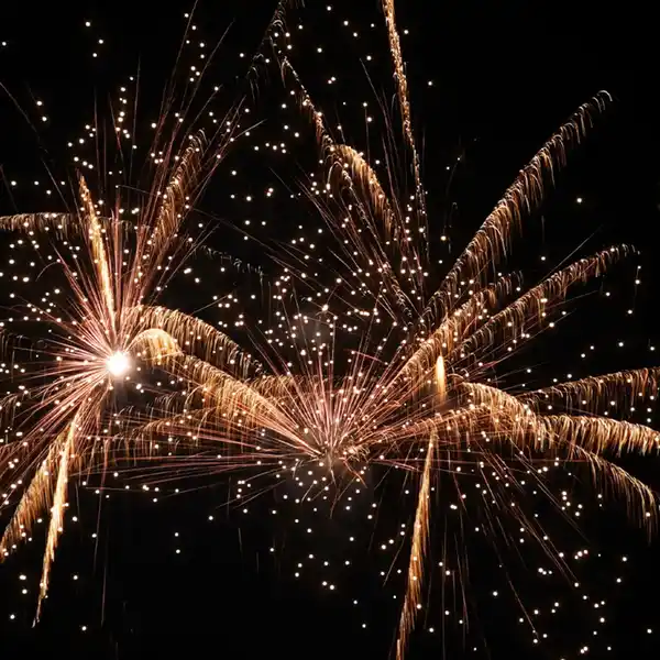 Bild 3 von Nico Feuerwerk/Powertec Rising Fire