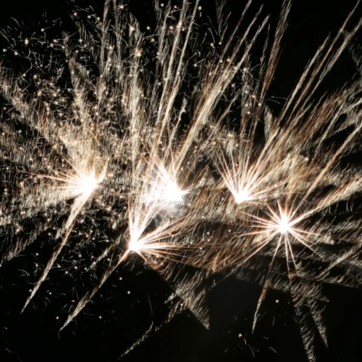 Bild 2 von WECO Big Boombastic