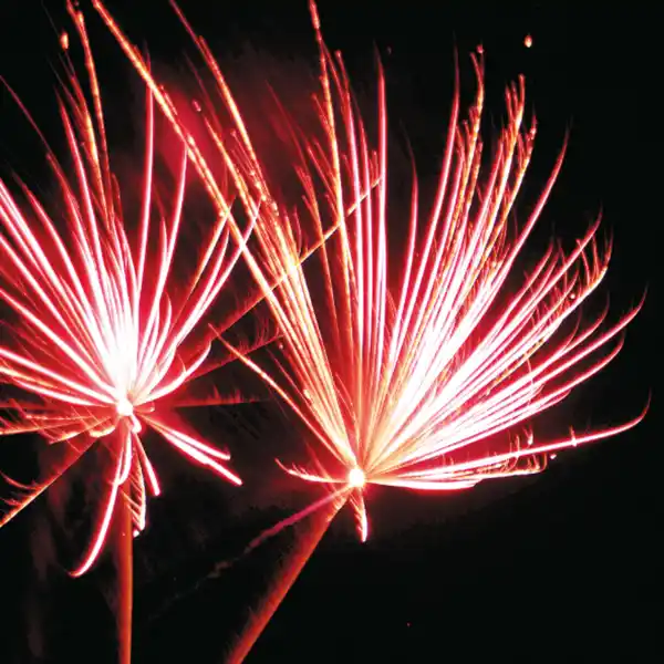 Bild 2 von WECO Camelot