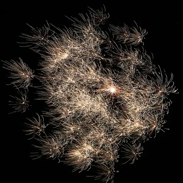 Bild 4 von Nico Feuerwerk/Powertec HyperNova