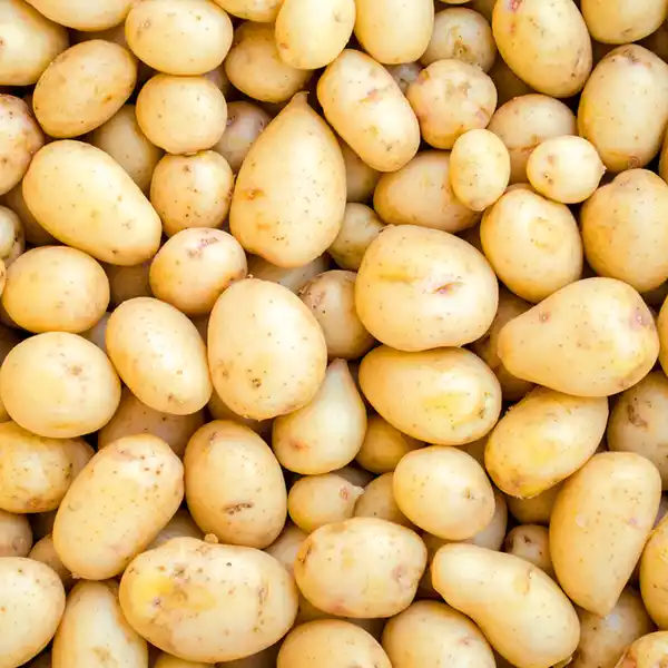 Bild 2 von Pom Alliance Speisekartoffeln