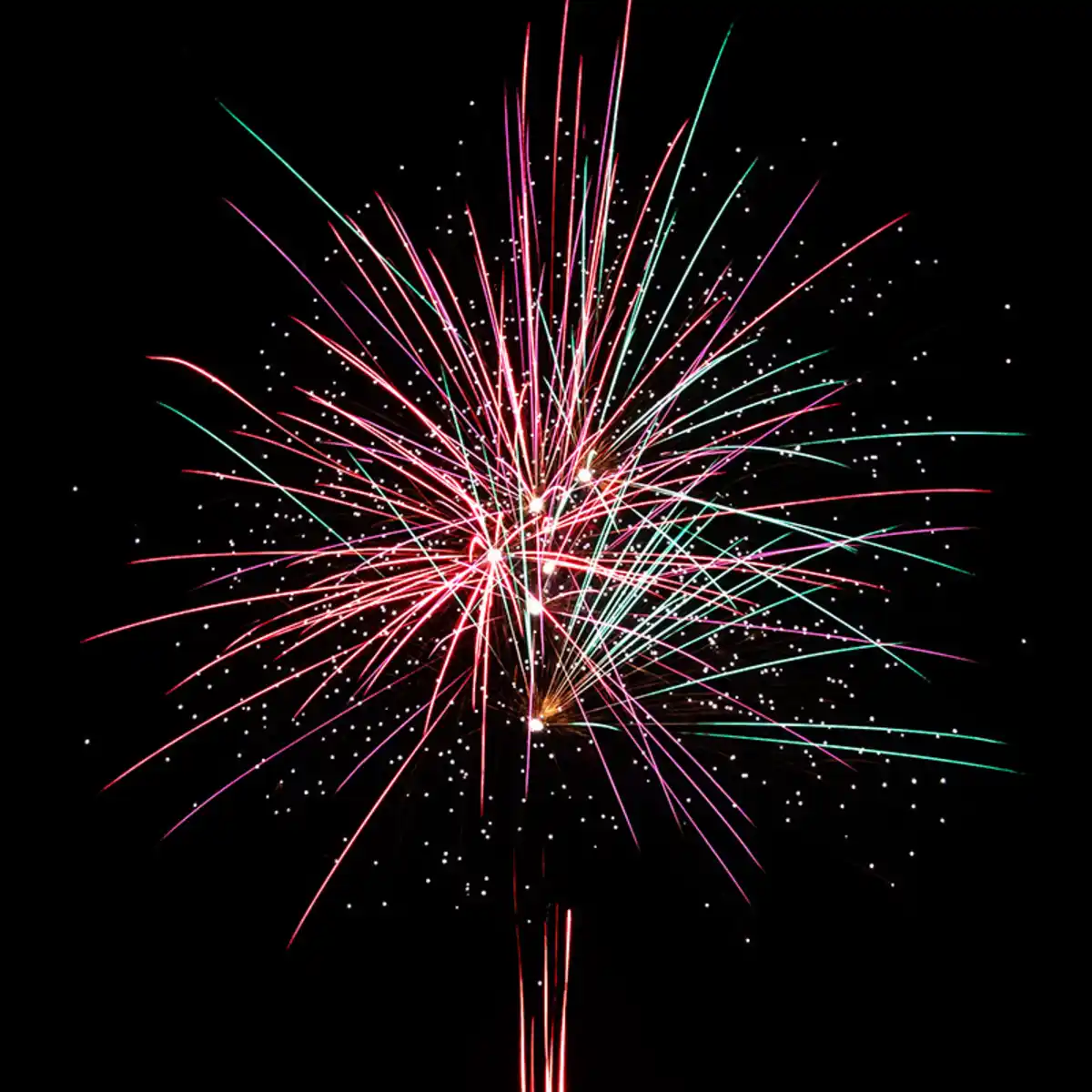 Bild 2 von Nico Feuerwerk/Powertec Majestic