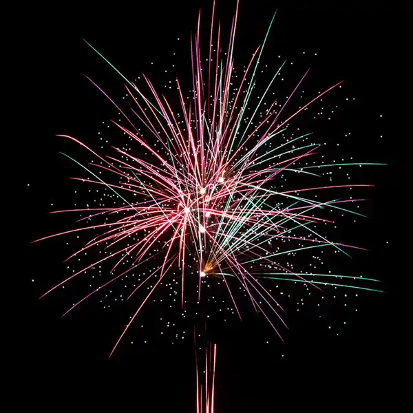 Bild 2 von Nico Feuerwerk/Powertec Majestic