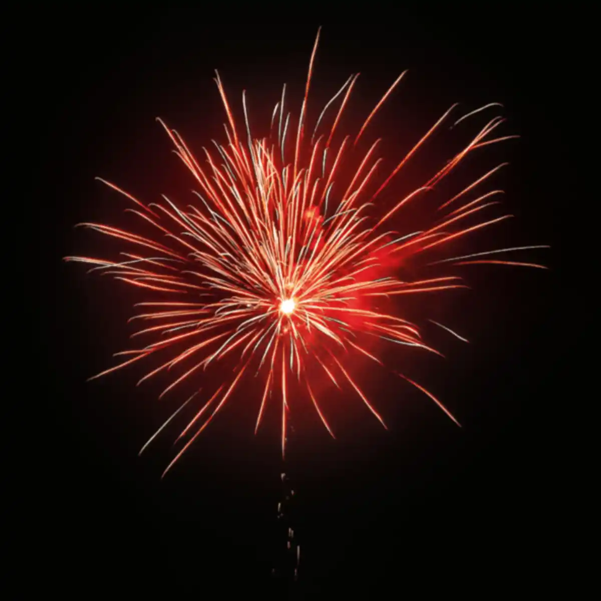 Bild 2 von WECO Poison