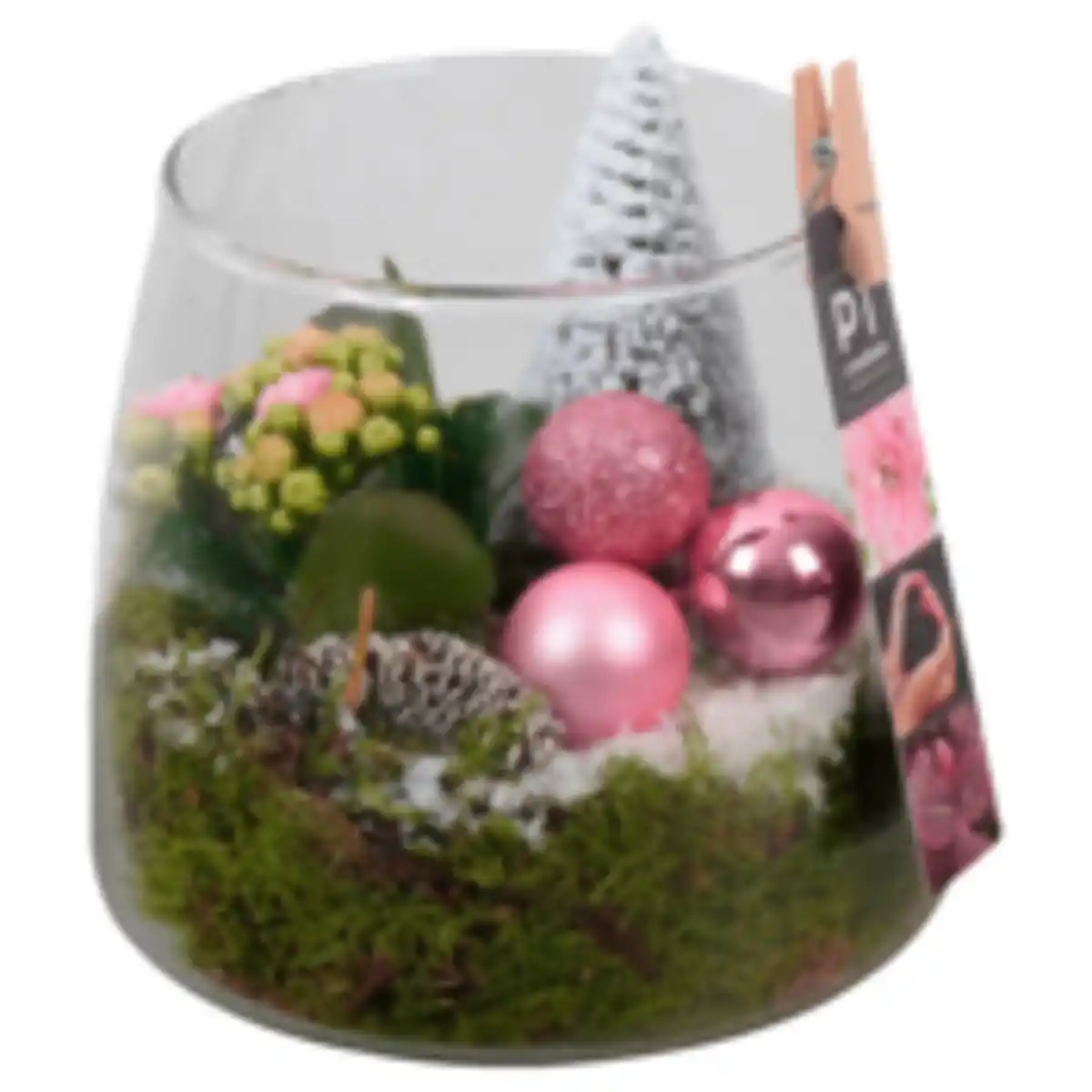 Bild 1 von »Weihnachtszauber«