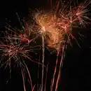 Bild 2 von WECO Swordsman