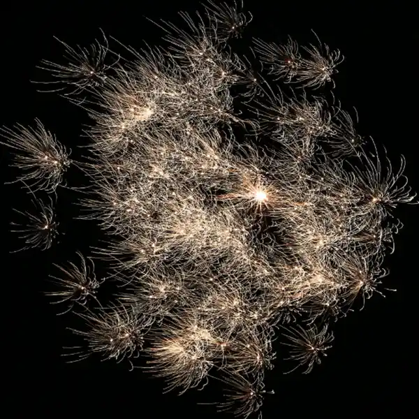 Bild 2 von NICO Rock & Howl