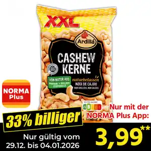 Ardilla Cashew Kerne XXL