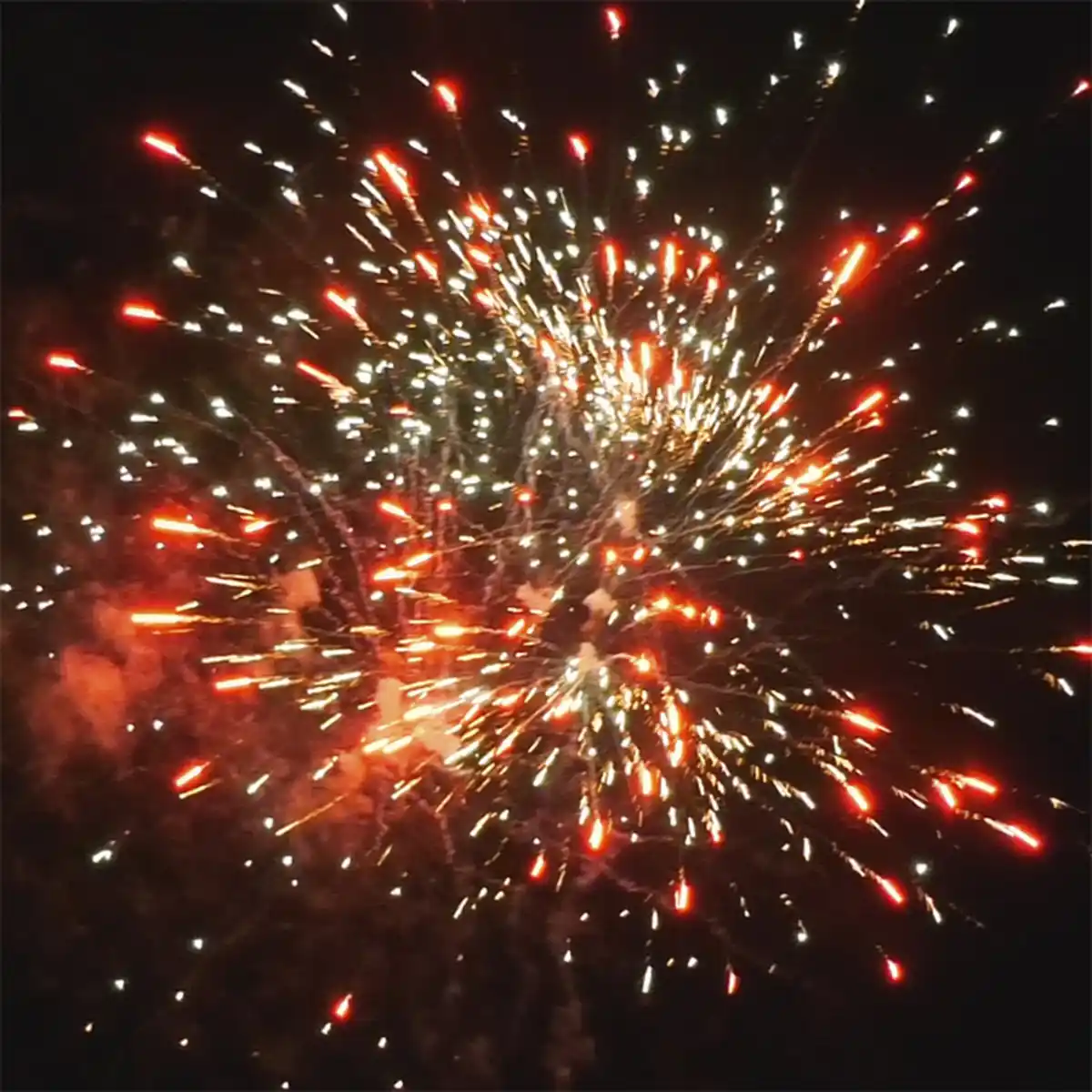 Bild 3 von Silvesterzauber Big Monster