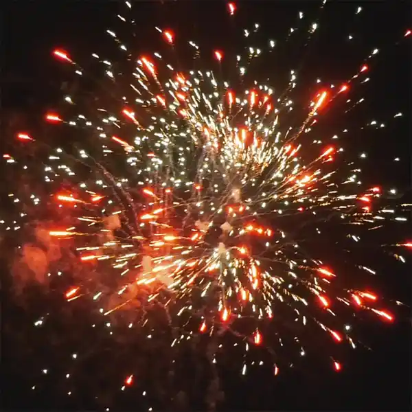 Bild 3 von Silvesterzauber Big Monster