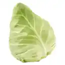 Bild 1 von GO Regio Spitzkohl