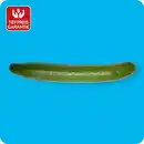 Bild 1 von   Gurke, Ursprung: Spanien / Griechenland / Marokko