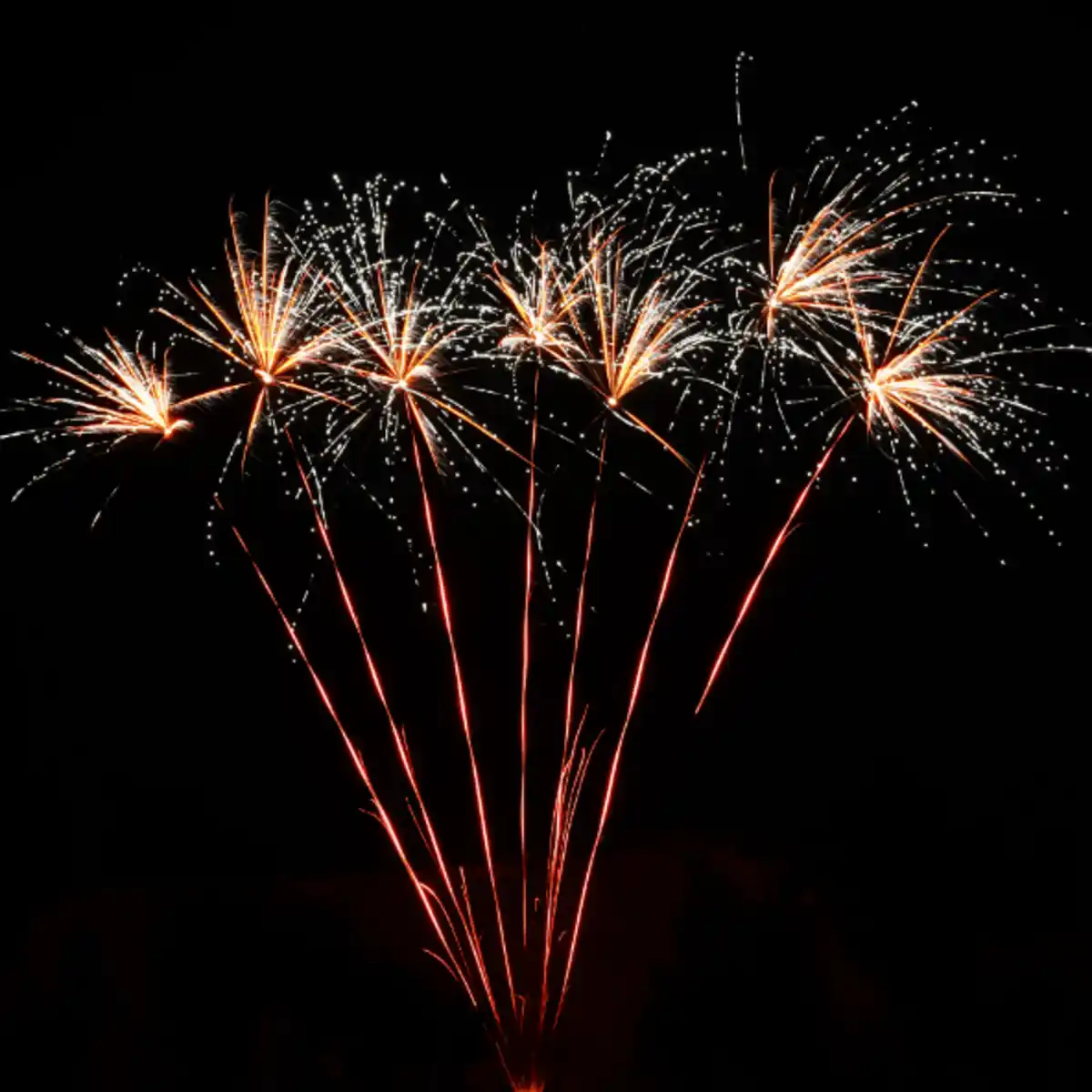 Bild 2 von NICO Thunderbolt