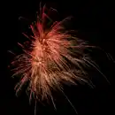 Bild 2 von NICO Fireworks Fiesta