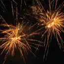 Bild 2 von WECO Rowdy