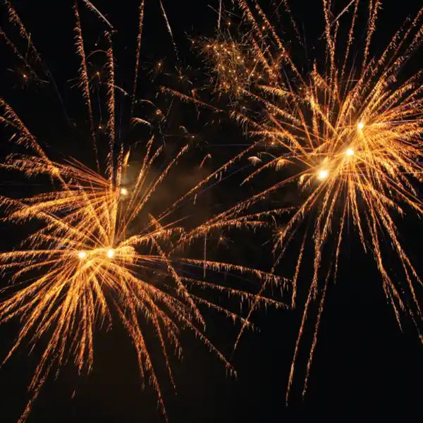 Bild 2 von WECO Rowdy