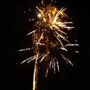 Bild 3 von Silvesterzauber Raptor