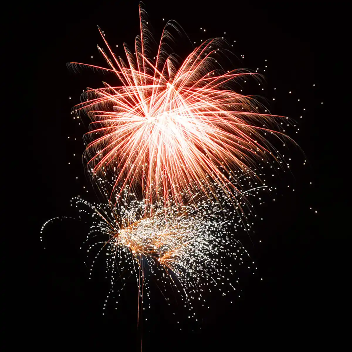 Bild 3 von Nico Feuerwerk/Powertec Stars of Proxima