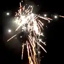 Bild 4 von Silvesterzauber Raptor