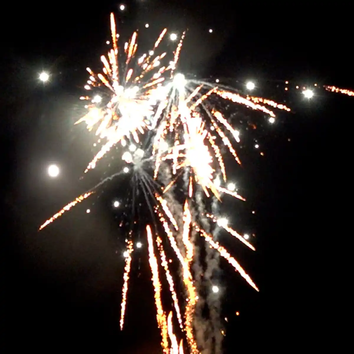 Bild 4 von Silvesterzauber Raptor