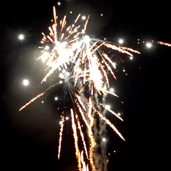 Bild 4 von Silvesterzauber Raptor