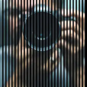 Neuhofer Akustikpaneele Shoot 119,5 x 113,3 x 1,9 cm