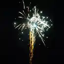 Bild 2 von Silvesterzauber Raptor