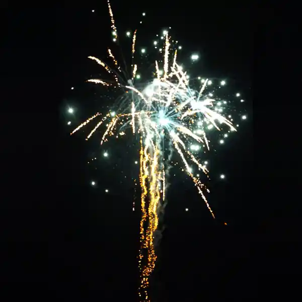 Bild 2 von Silvesterzauber Raptor